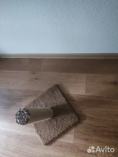 Когтеточка