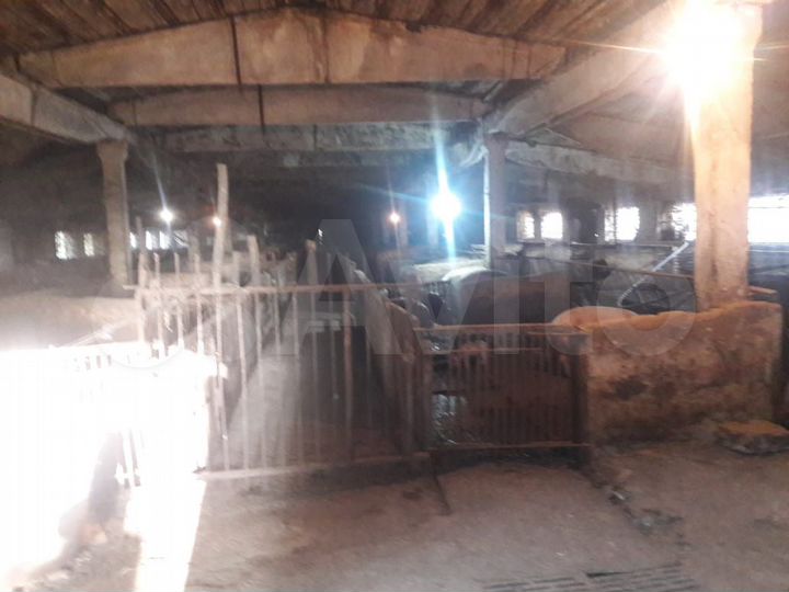 Здание, 6000 м²