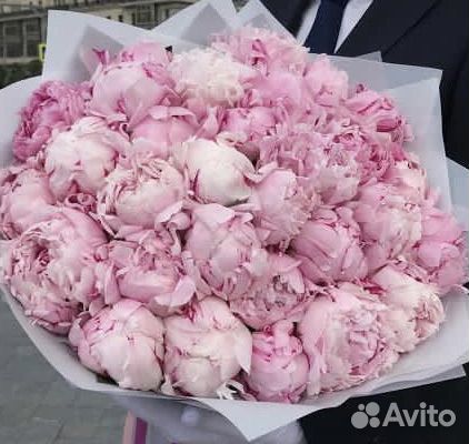 Букет цветов пионы