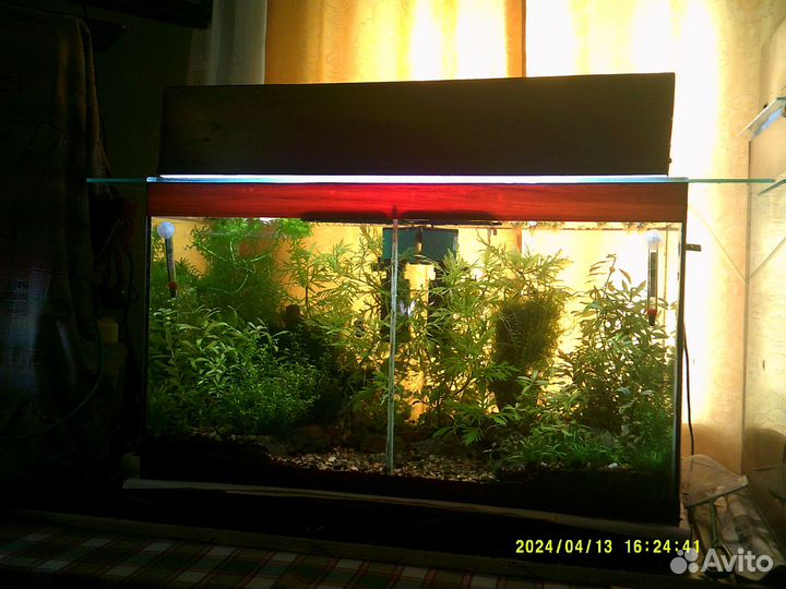 Готовый аквариум с рыбками