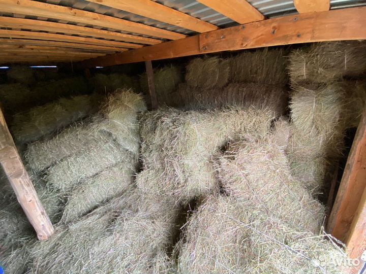 Сено в тюках 1 укос