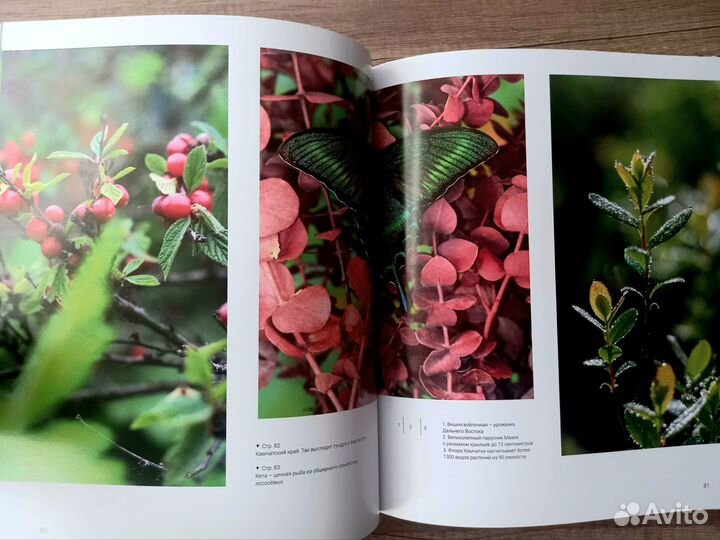 Дальний Восток. Россия: визуальный код