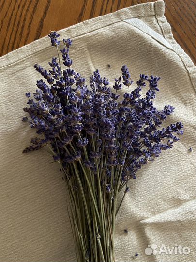 Букет сухоцветов лаванды