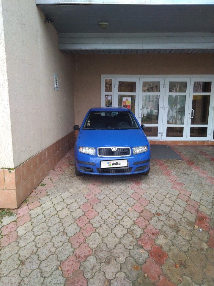 Skoda Fabia: фото владельца