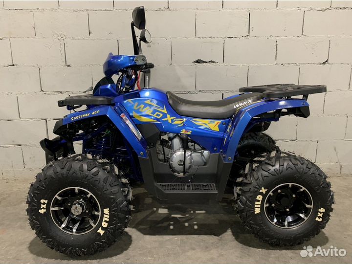 Квадроцикл Motoland 125 wild X PRO