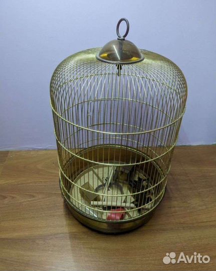 Клетки разные для попугаев