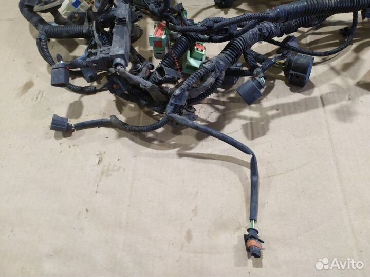 Проводка моторного отсека Ford Focus 3 седан 1.6