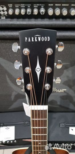 Parkwood PF51M-wbag-OP Гитара акустическая,чехол