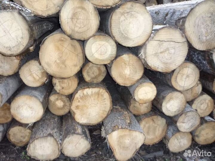 Осина лес кругляк на дрова