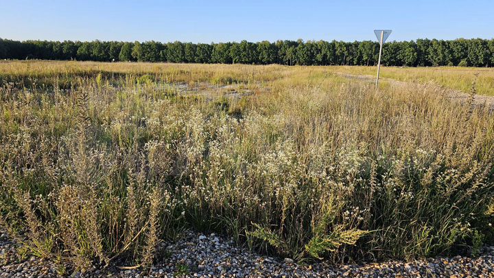 Участок 10,8 сот. (ИЖС)