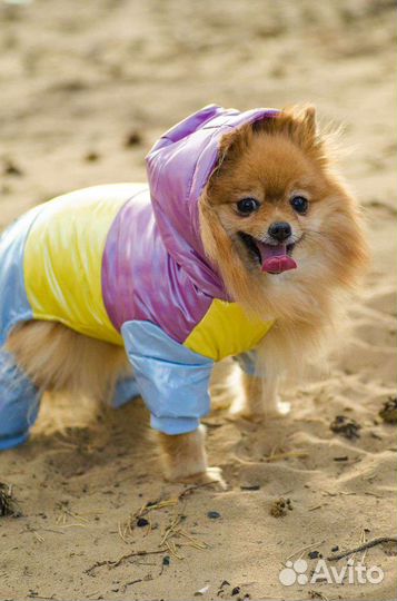 Одежда для собак кошек дождевик толстовка новый