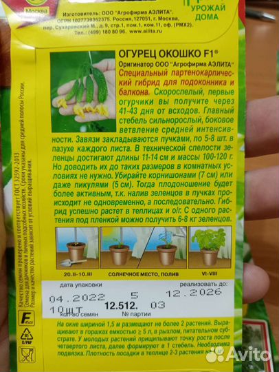 Семена огурцов