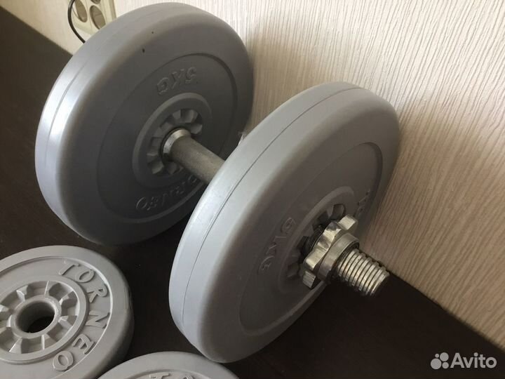 Гриф и блины для гантелей