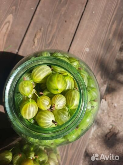 Крыжовник ягоды