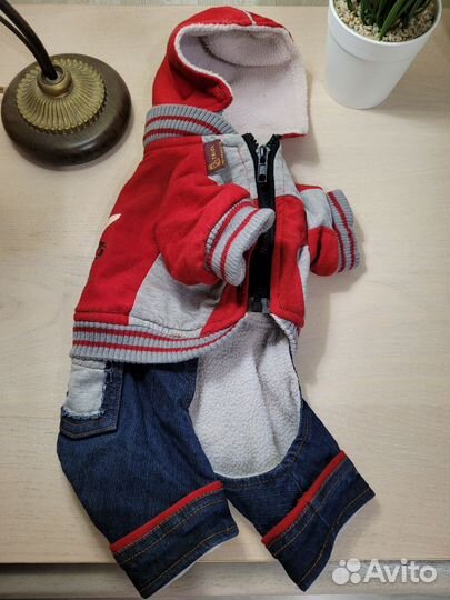 Одежда для маленьких собак