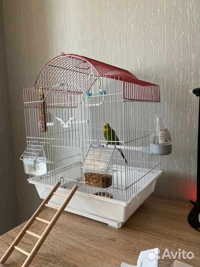 Клетка для попугая