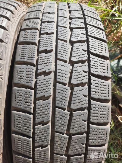 Dunlop Winter Maxx WM01 185/60 R15