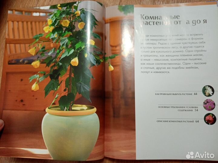 Книга, энциклопедия, про растения