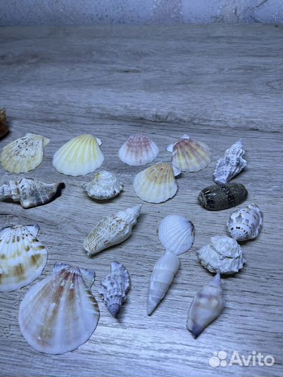 Декорации в аквариум