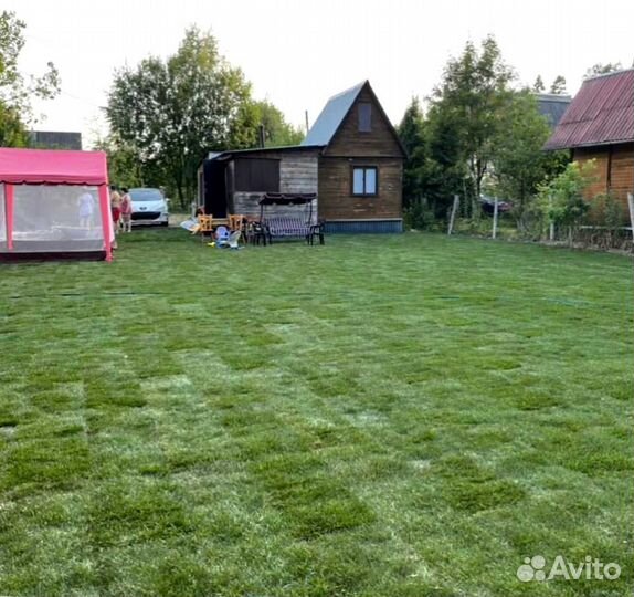 Газон. Рулонный газон