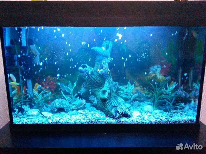 Декор для аквариума