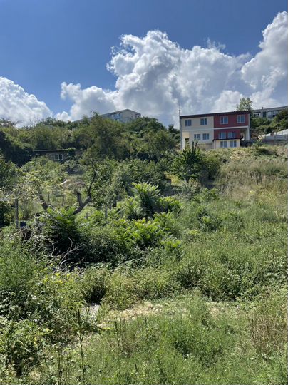 Участок 12 сот. (СНТ, ДНП)