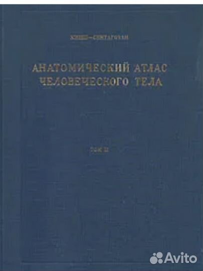 Анатомический атлас