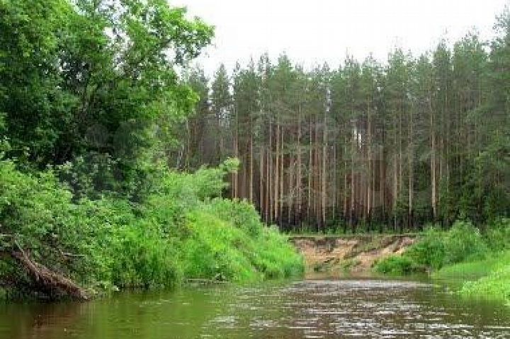 Участок 20 сот. (ИЖС)