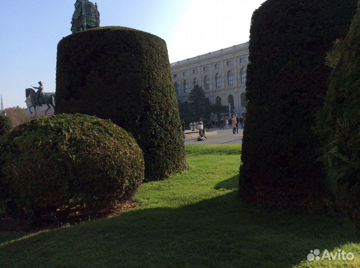 Репетитр по английскому языку