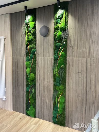 Мох. Озеленение. Фитостена. Декор. Мебель