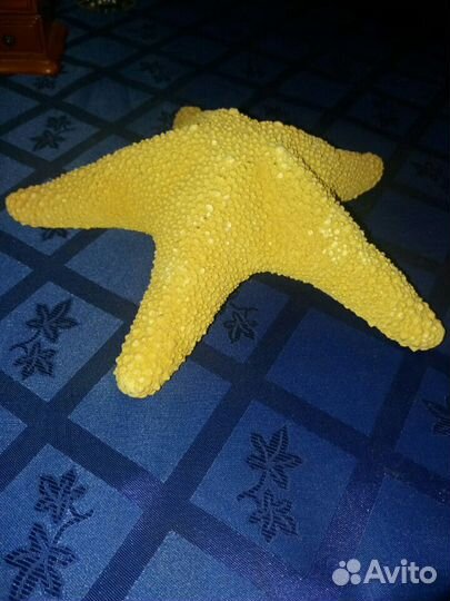 Морская звезда