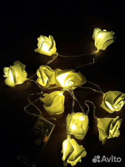 Гирлянда розы, новая