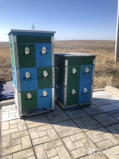 Продам ульи для пчел
