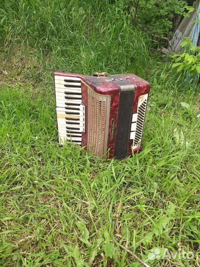 Аккордеон