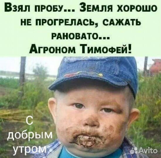 Конский навоз. Мульча