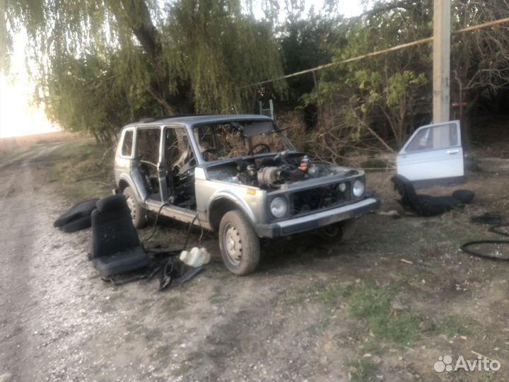 Разбор нива