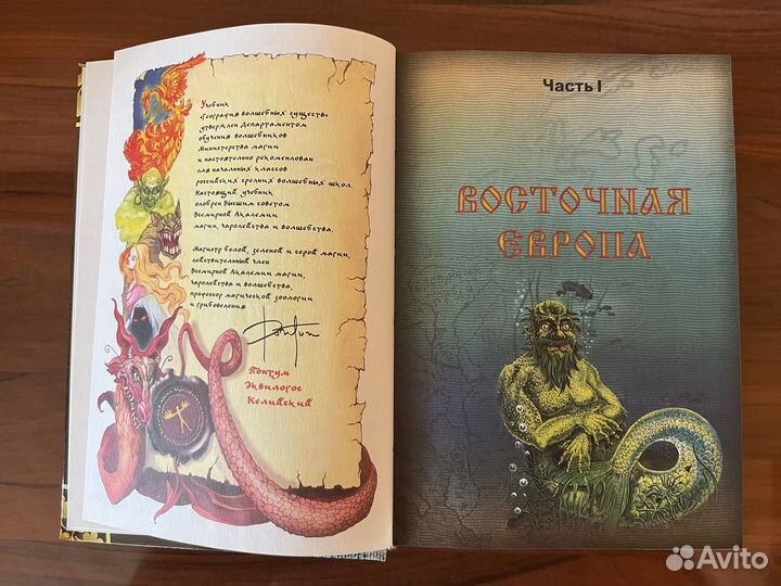 Книги История Волшебников и Волшебных существ