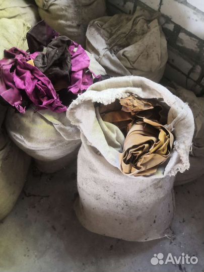 Кожа ласкуты