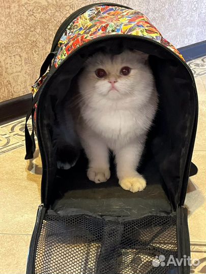 Сумка переноска для кошек и собак