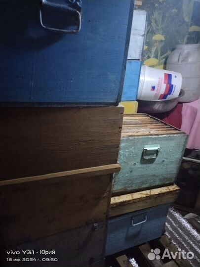 Продам сушь и тару