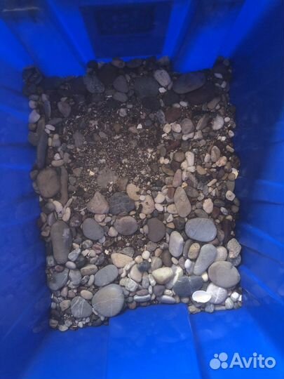 Грунт для аквариума