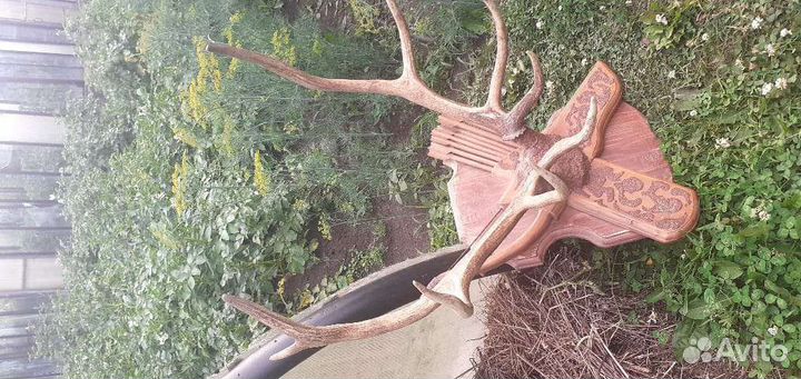 Декоративная вешалка для шапок