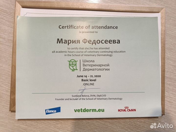 Ветеринарные услуги/ветеринарный врач на дом