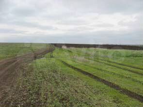 Участок 1,65 га (ИЖС)