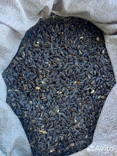 Семечки подсолнечника мешок д.заречье
