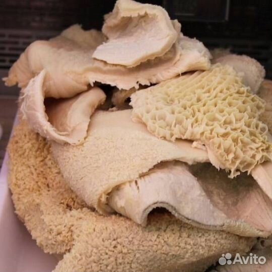 Мясо Говядина для собак