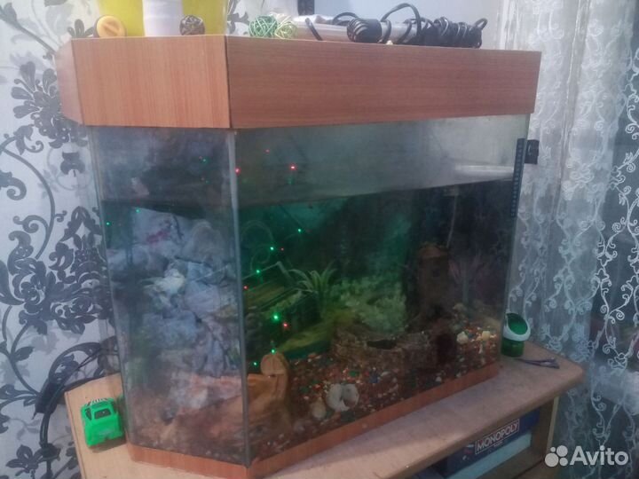 Аквариум