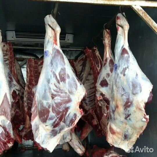 Мясо говядины домашнее