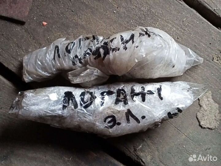 Барабанный тормоз Renault Logan I