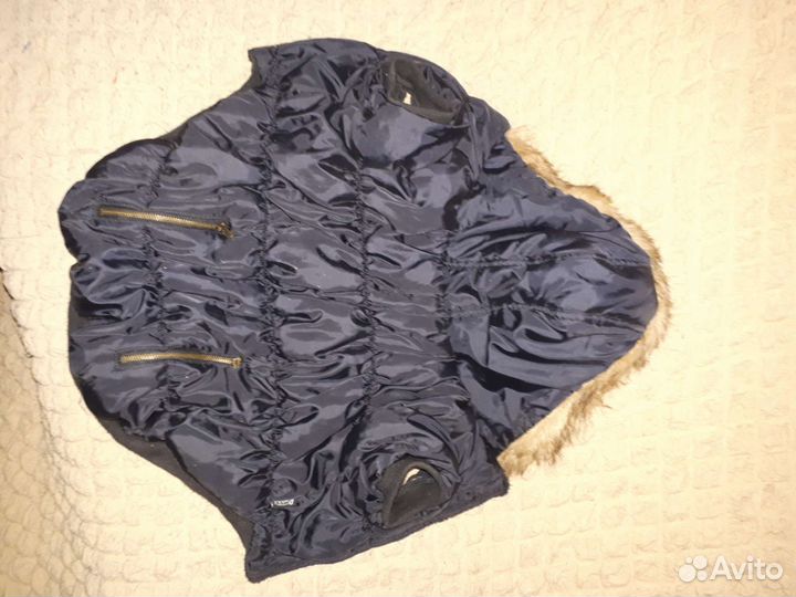 Полукмбинезончик на таксу